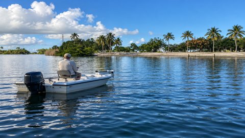Lake Osborne — Fishing & Boating at John Prince Park