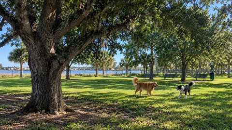 Lake Woof Dog Park at John Prince Park